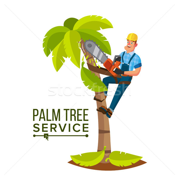 Palm Tree Service Vector. Professional Man. Trimming Tree Or Removal To Tree Pruning. Isolated Flat  Stock photo © pikepicture