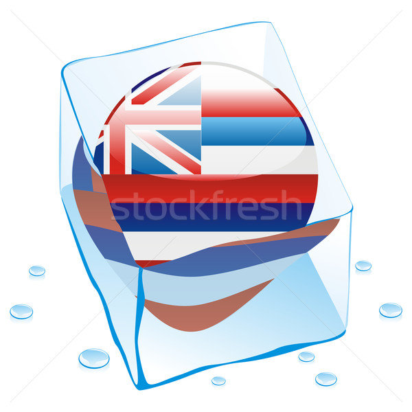 Hawaii Taste Flagge eingefroren Ice Cube editierbar Stock foto © PilgrimArtworks