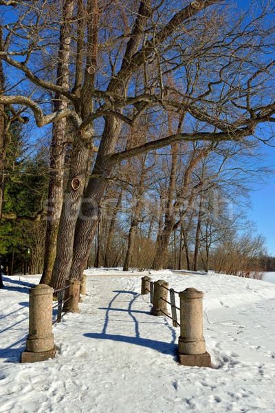 Stock photo: Winter sunny snowy  landscape in garden Pushkin,