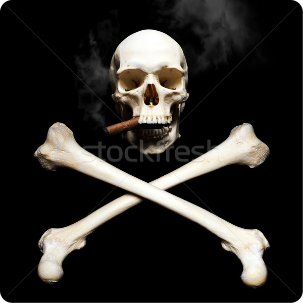 Smoking skull Stock photo © Pilgrimego
