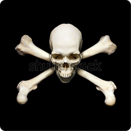 Smoking skull Stock photo © Pilgrimego