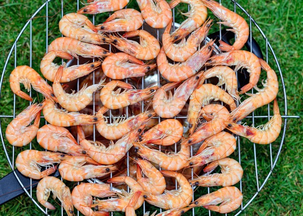 Grillezett barbecue fű szín eszik főzés Stock fotó © Pilgrimego
