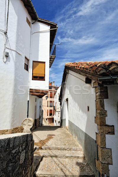 通り 小 スペイン語 独自の 空 家 ストックフォト © Pilgrimego