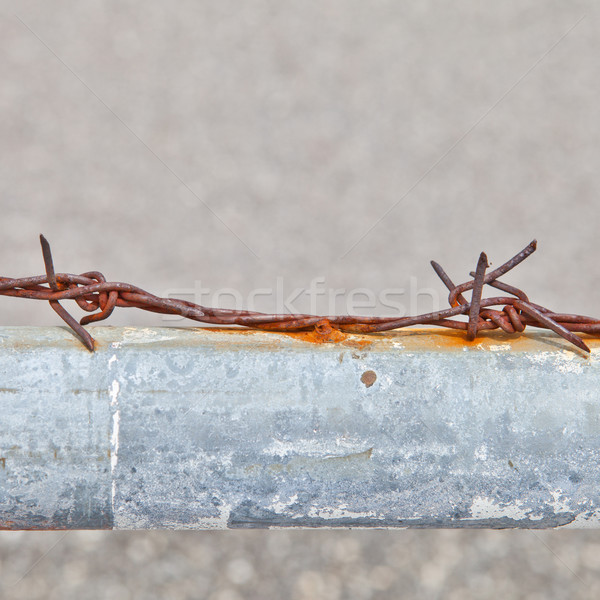 Rusty barbed wire on a metal tube Stock photo © pinkblue