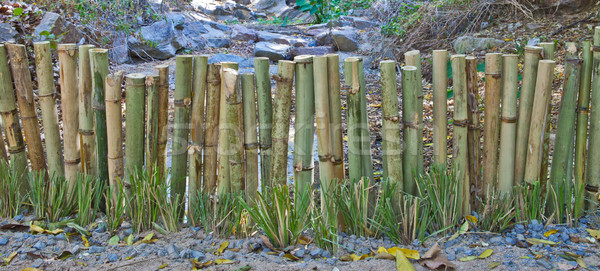 Bambou clôture bois nature jardin fond [[stock_photo]] © pinkblue