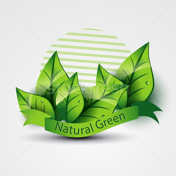 natural green Stock photo © Pinnacleanimates