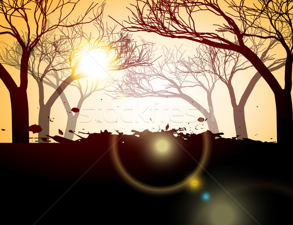 Vettore albero silhouette foresta alberi abstract Foto d'archivio © Pinnacleanimates