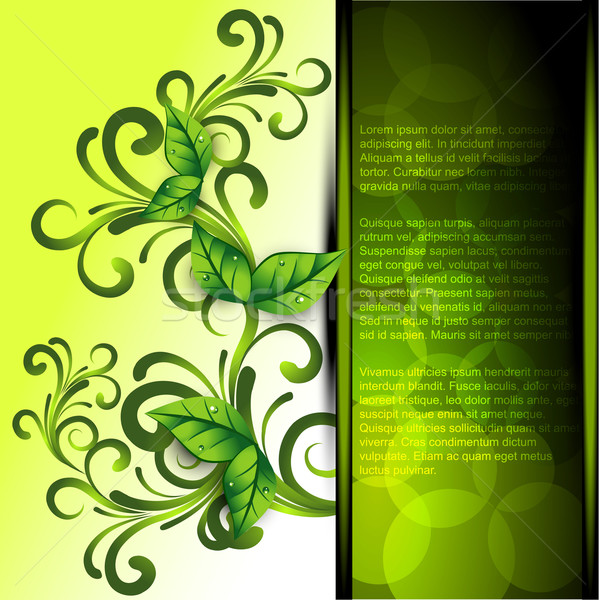 vector leaf Stock photo © Pinnacleanimates