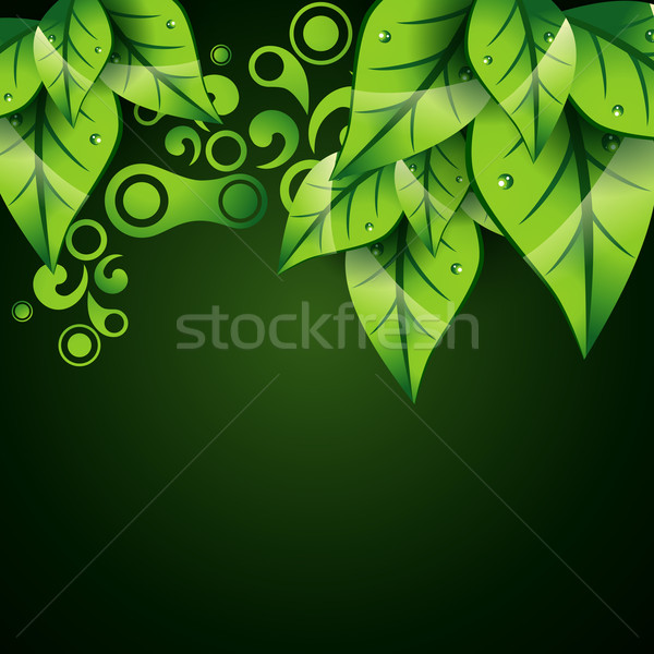Vektör yaprak yeşil yaprak örnek sanat duvar kağıdı Stok fotoğraf © Pinnacleanimates
