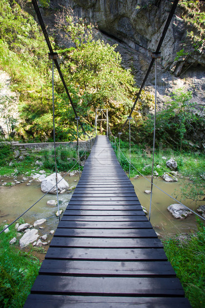 Foto stock: Suspenso · ponte · água · árvore · floresta · natureza