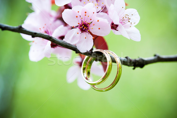 [[stock_photo]]: Alliances · rose · cerise · fleurs · mariage