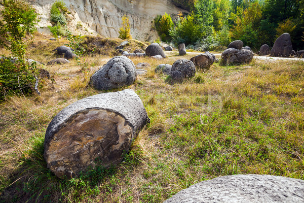 The Trovants of Costesti - The Living and Growing Stones of Roma Stock photo © pixachi