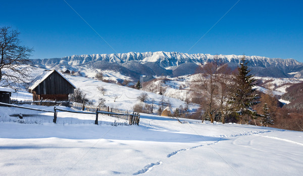 Typical scenic winter view from Bran Castle surroundings Stock photo © pixachi
