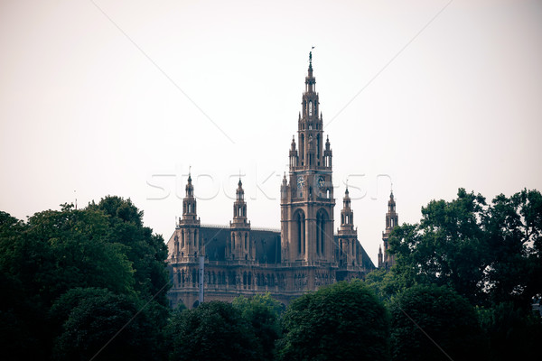 Gothic building tower of Vienna city hall Stock photo © pixachi