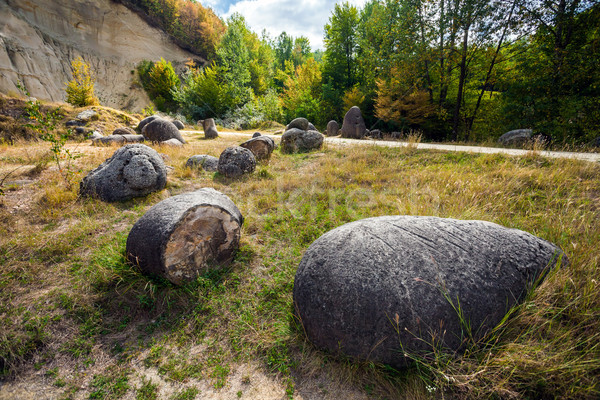 Vie croissant pierres roma Roumanie 2012 Photo stock © pixachi