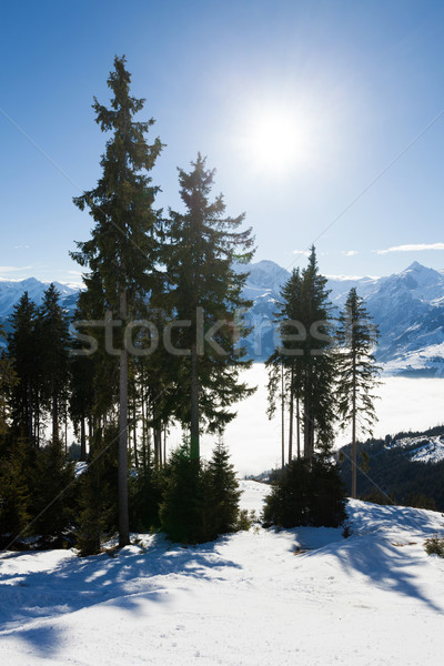 winter with ski slopes of kaprun resort Stock photo © pixachi