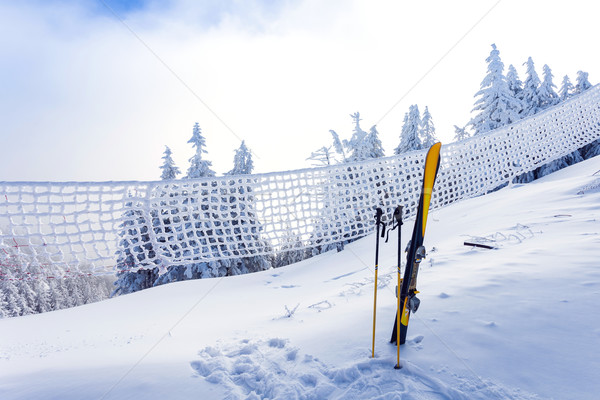 Ski equipment on ski run with pine forest covered in snow Stock photo © pixachi