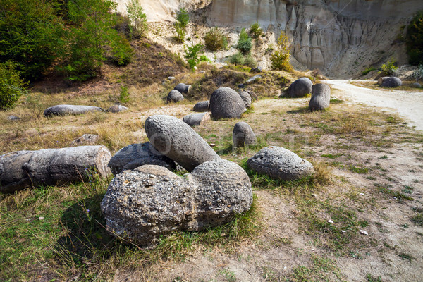 The Trovants of Costesti - The Living and Growing Stones of Roma Stock photo © pixachi