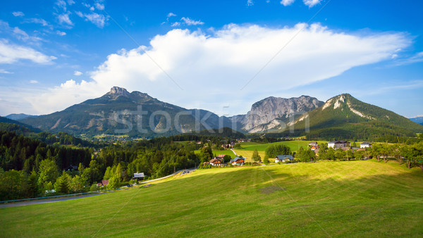 A beautiful view of the austrian alps with typical mountain hous Stock photo © pixachi
