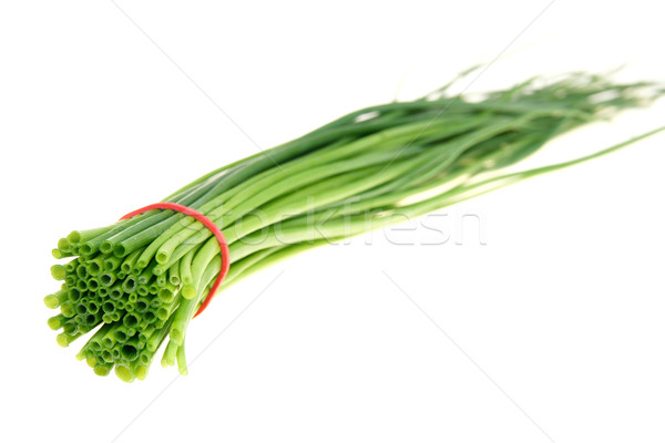 Stockfoto: Vers · groene · geïsoleerd · witte · achtergrond · plantaardige
