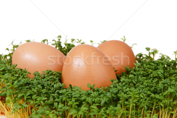 Foto stock: Ovos · fresco · verde · três · ovos · de · páscoa · isolado