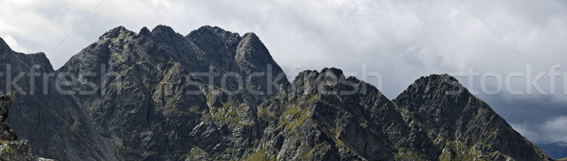 Tatras high mountain Stock photo © pixelman