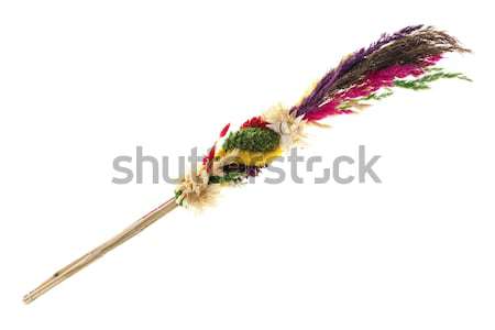 Stock photo: Traditional Easter palm