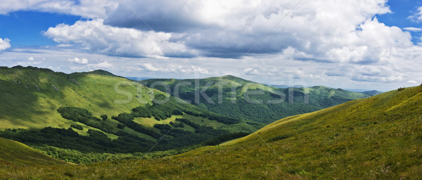 Foto stock: Panorâmico · verde · montanha · céu · árvore · grama