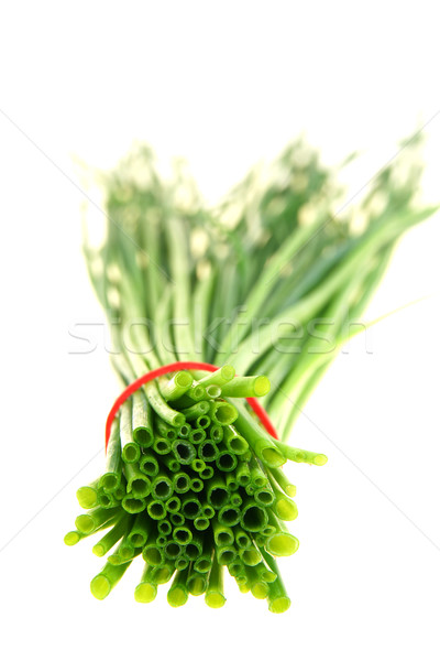 Fraîches vert isolé blanche fond légumes [[stock_photo]] © pixelman