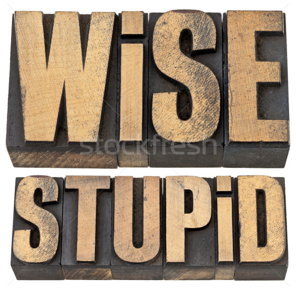 [[stock_photo]]: Judicieux · stupide · bois · type · expérience