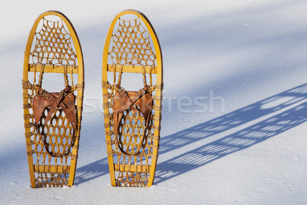 Bear Paw snowshoes Stock photo © PixelsAway