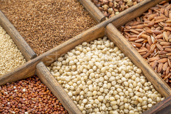 sorghum and other gluten free grains  Stock photo © PixelsAway