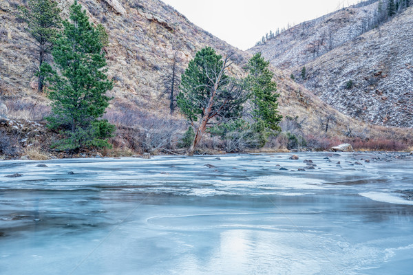Cache la Poudre River in Rocky Mountains Stock photo © PixelsAway