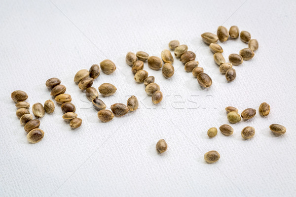 hemp seeds word on canvas Stock photo © PixelsAway