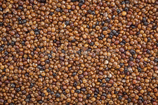 Gabona textúra gluténmentes őshonos étel termény Stock fotó © PixelsAway