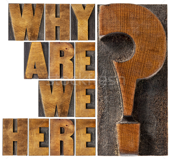 why are we here question Stock photo © PixelsAway