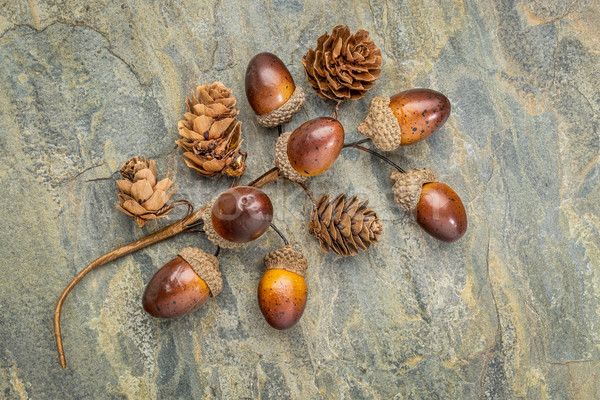 acorn and cone fall decoration Stock photo © PixelsAway
