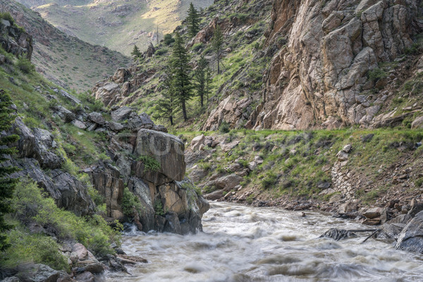 spring runoff of Poudre River in Colorado Stock photo © PixelsAway