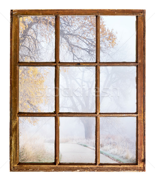 foggy autumn scene Stock photo © PixelsAway