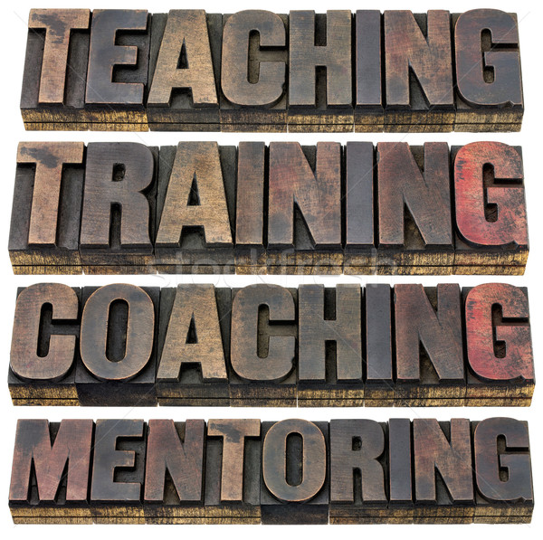 Lehre Ausbildung Coaching Mentoring Collage isoliert Stock foto © PixelsAway