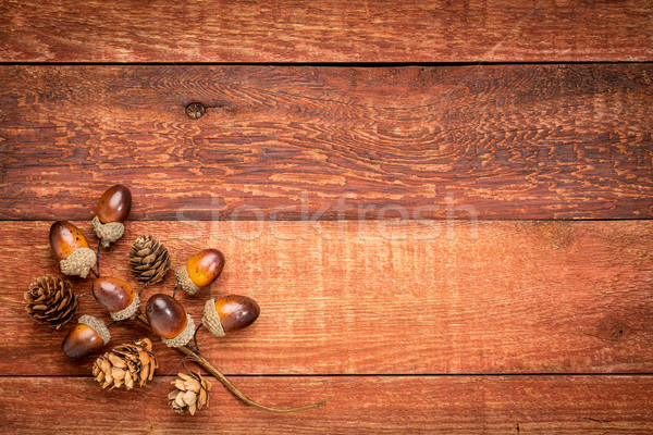 Stockfoto: Rood · schuur · hout · vallen · decoratie · grunge