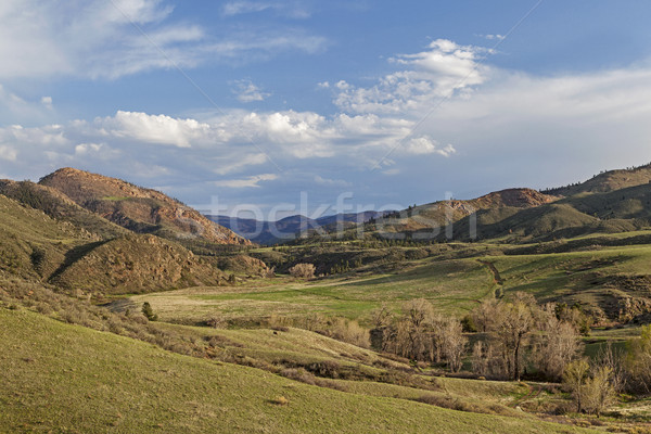springtime in mountain valley Stock photo © PixelsAway