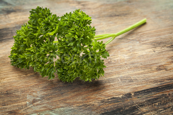 curled leaf parsley Stock photo © PixelsAway