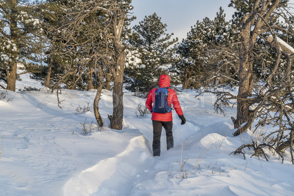 winter hiking in Colorado Stock photo © PixelsAway