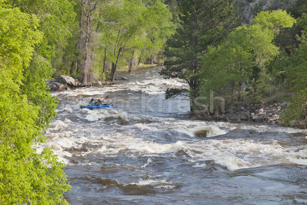 Springtime whitewater in  Colorado Stock photo © PixelsAway