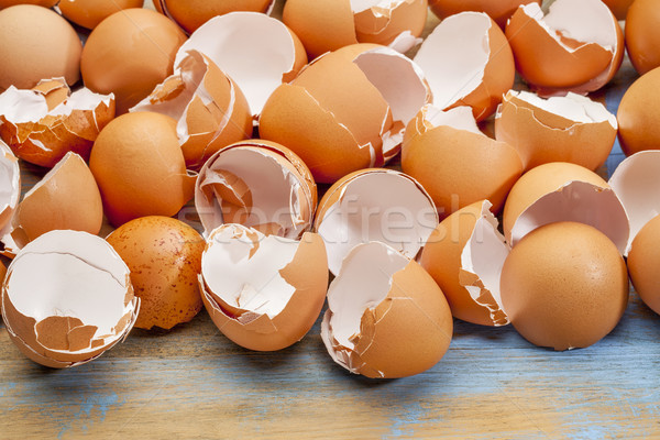 broken chicken eggshells Stock photo © PixelsAway