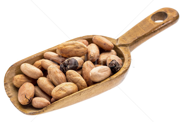 rustic scoop of cacao beans Stock photo © PixelsAway