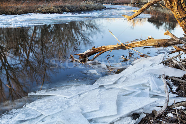 Poudre River with icy shores Stock photo © PixelsAway