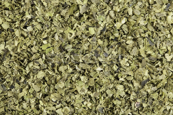 sea lettuce seaweed Stock photo © PixelsAway