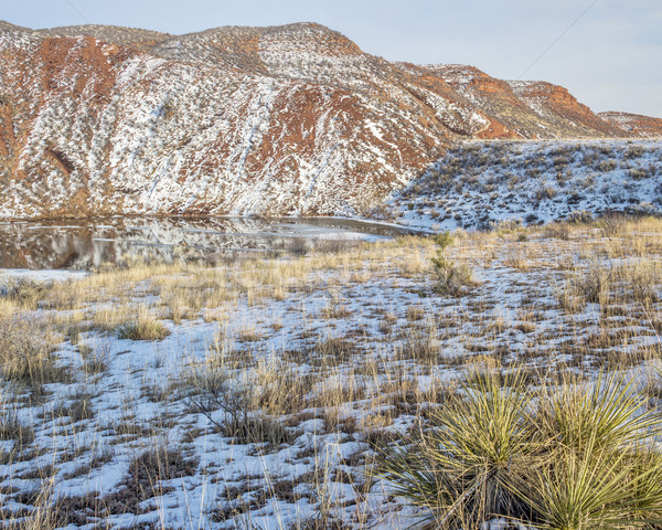 winter at Red Mountain Open Space Stock photo © PixelsAway